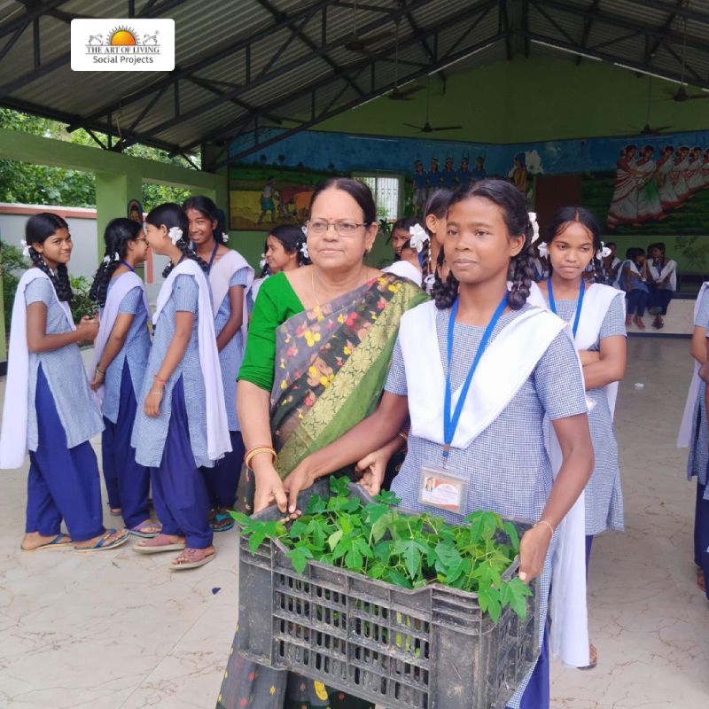 685-saplings-lesson-gratitude