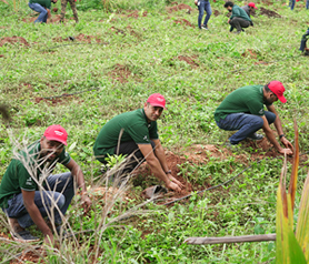 Ashirwad Tree Plantation Thumb2