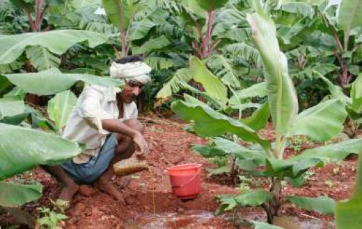 Sustainable Agriculture
