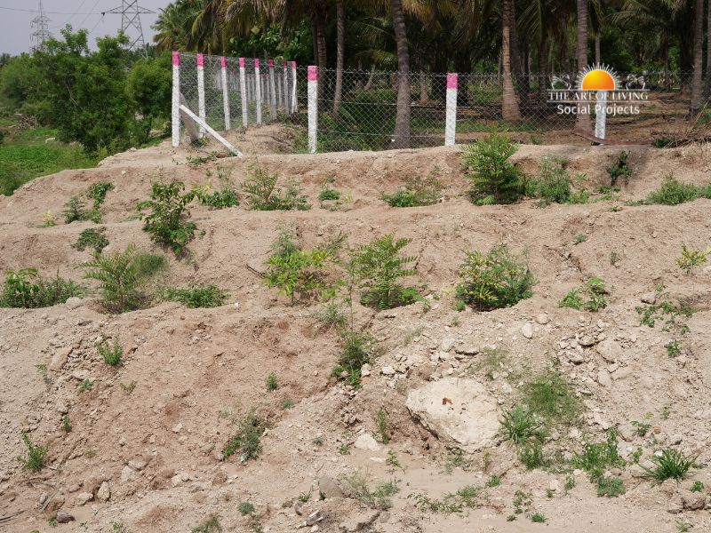 Deep CCT structures showing increased greenery