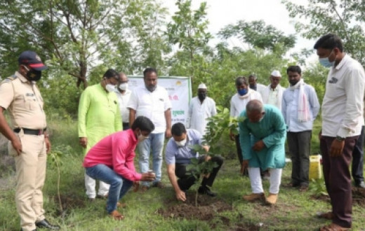 Environment / Afforestation